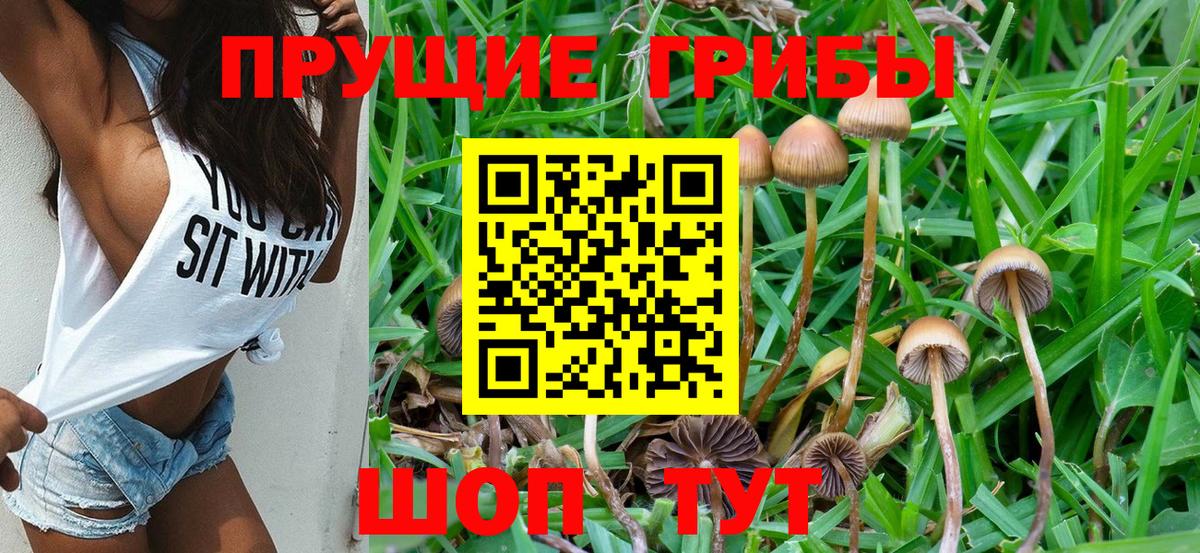 Тамбов  Псилоцибиновые грибы Magic Shrooms  Галлюциногенные грибы прущие грибы  Вход с VPN 