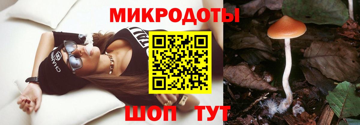 Псилоцибиновые грибы ЛСД Тамбов